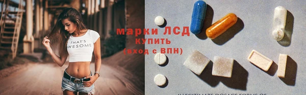 стаф Абинск