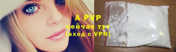 стаф Абинск