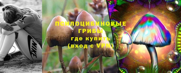 стаф Абинск