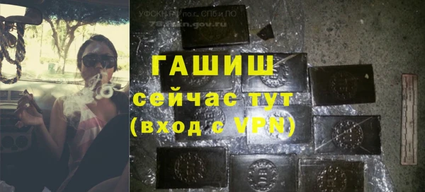 стаф Абинск